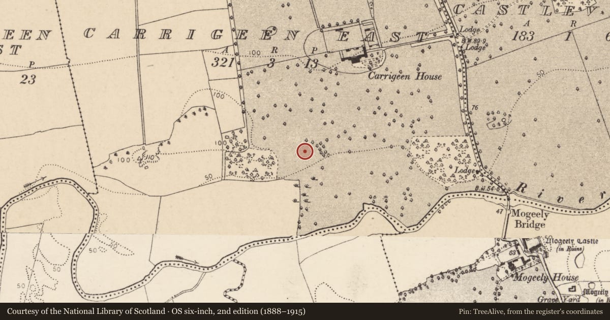 Ordnance Survey six-inch map, 2nd edition (1888–1915) covering the location of Settlement deserted - medieval, Carrigeen East, County Cork, with a pin at the register's coordinates