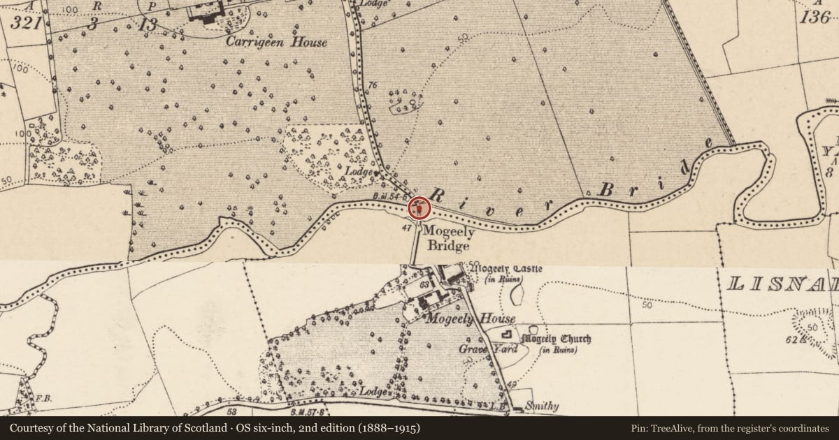 Ordnance Survey six-inch map, 2nd edition (1888–1915) covering the location of Bridge, County Cork, with a pin at the register's coordinates