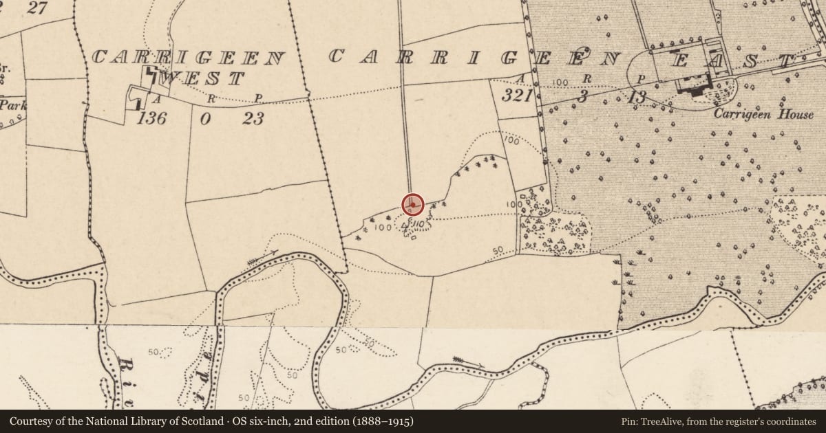 Ordnance Survey six-inch map, 2nd edition (1888–1915) covering the location of Kiln - lime, Carrigeen East, County Cork, with a pin at the register's coordinates