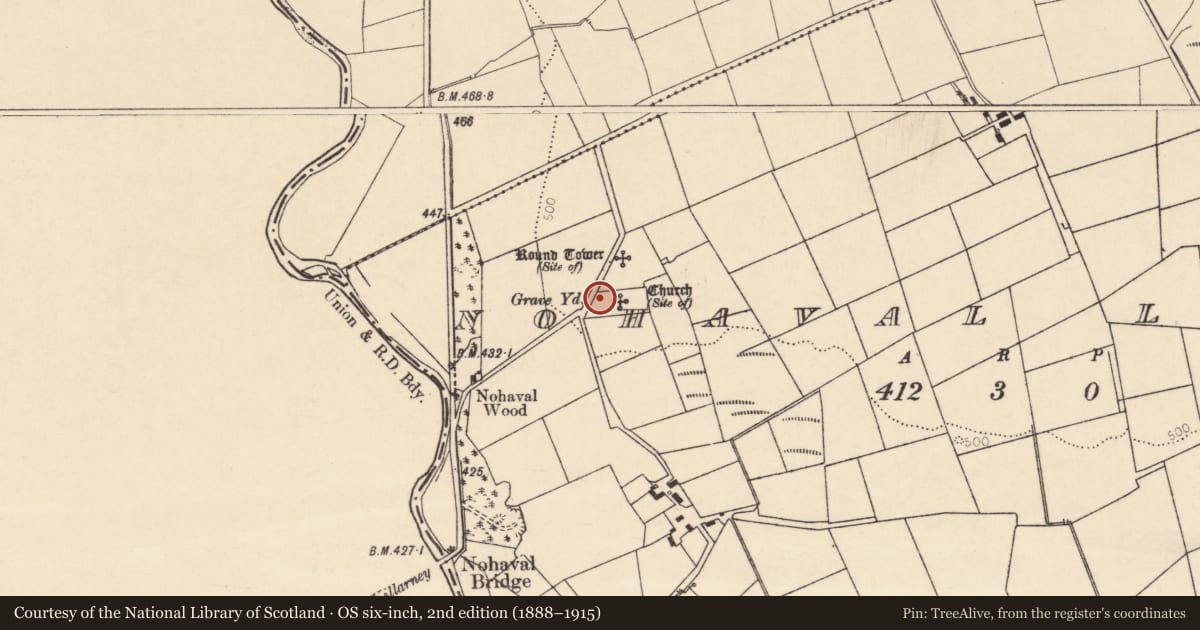 Ordnance Survey six-inch map, 2nd edition (1888–1915) covering the location of Graveyard, Nohaval Lower, County Cork, with a pin at the register's coordinates
