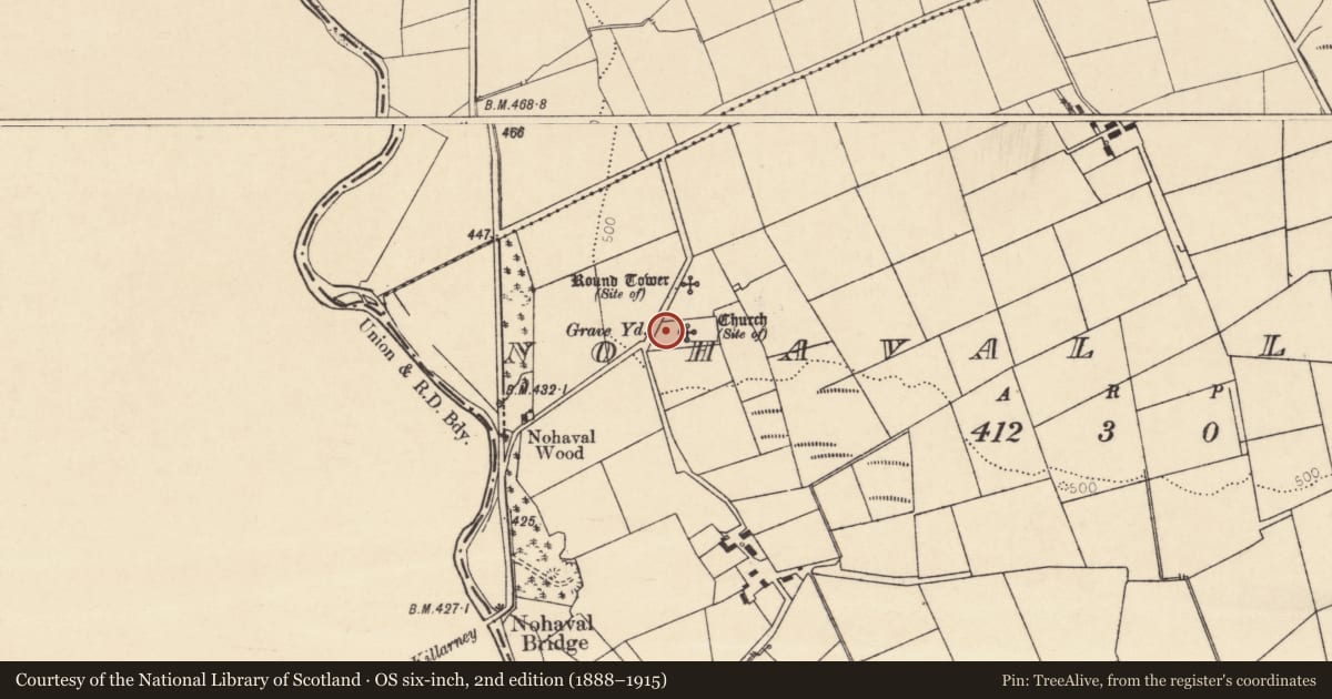 Ordnance Survey six-inch map, 2nd edition (1888–1915) covering the location of Church, Nohaval Lower, County Cork, with a pin at the register's coordinates