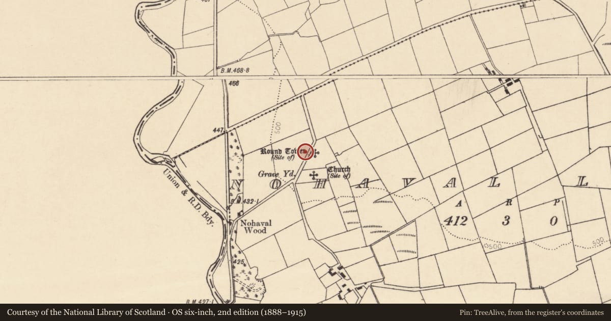 Ordnance Survey six-inch map, 2nd edition (1888–1915) covering the location of Souterrain, Nohaval Lower, County Cork, with a pin at the register's coordinates