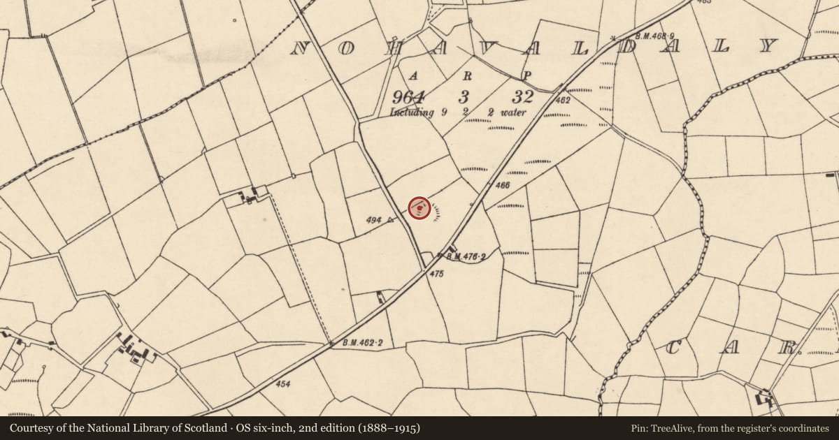 Ordnance Survey six-inch map, 2nd edition (1888–1915) covering the location of Ringfort - rath, Nohaval Daly, County Cork, with a pin at the register's coordinates