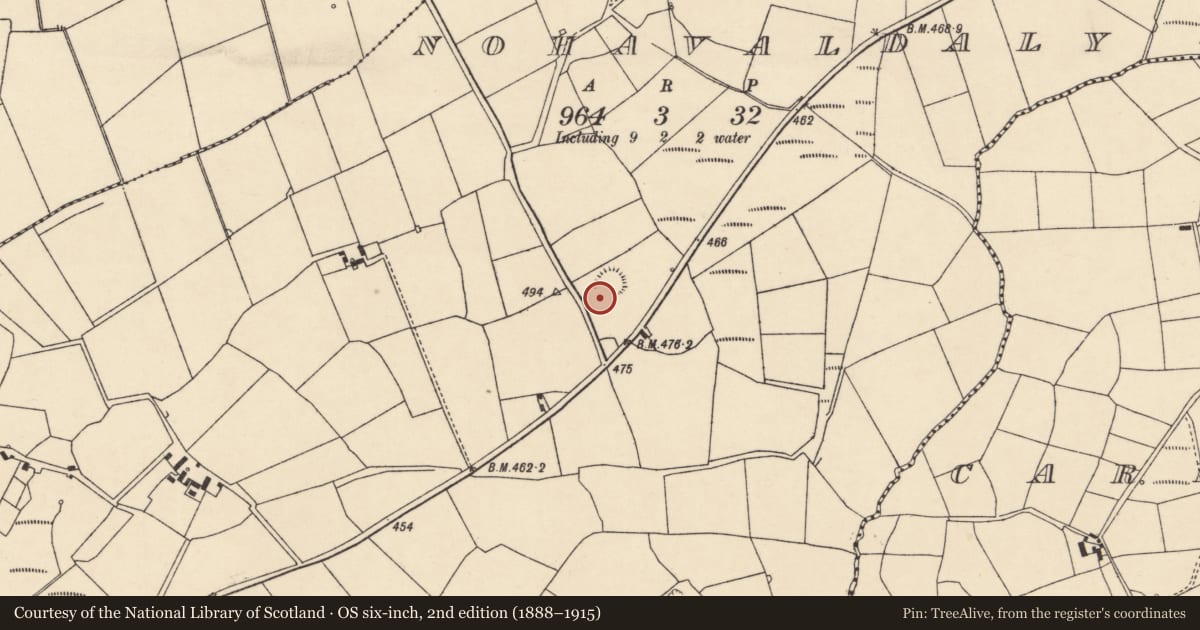 Ordnance Survey six-inch map, 2nd edition (1888–1915) covering the location of Burial ground, Nohaval Daly, County Cork, with a pin at the register's coordinates