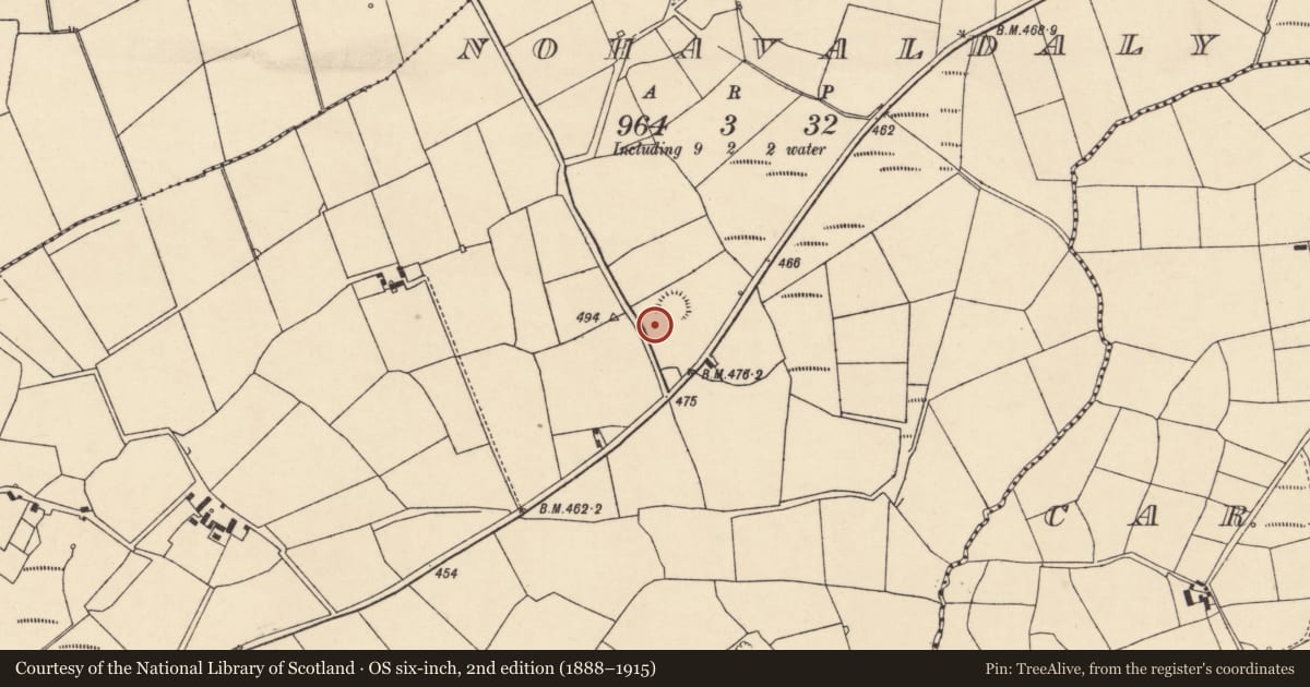 Ordnance Survey six-inch map, 2nd edition (1888–1915) covering the location of Ecclesiastical enclosure, Nohaval Daly, County Cork, with a pin at the register's coordinates