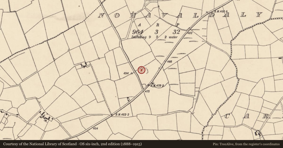 Ordnance Survey six-inch map, 2nd edition (1888–1915) covering the location of Church, Nohaval Daly, County Cork, with a pin at the register's coordinates