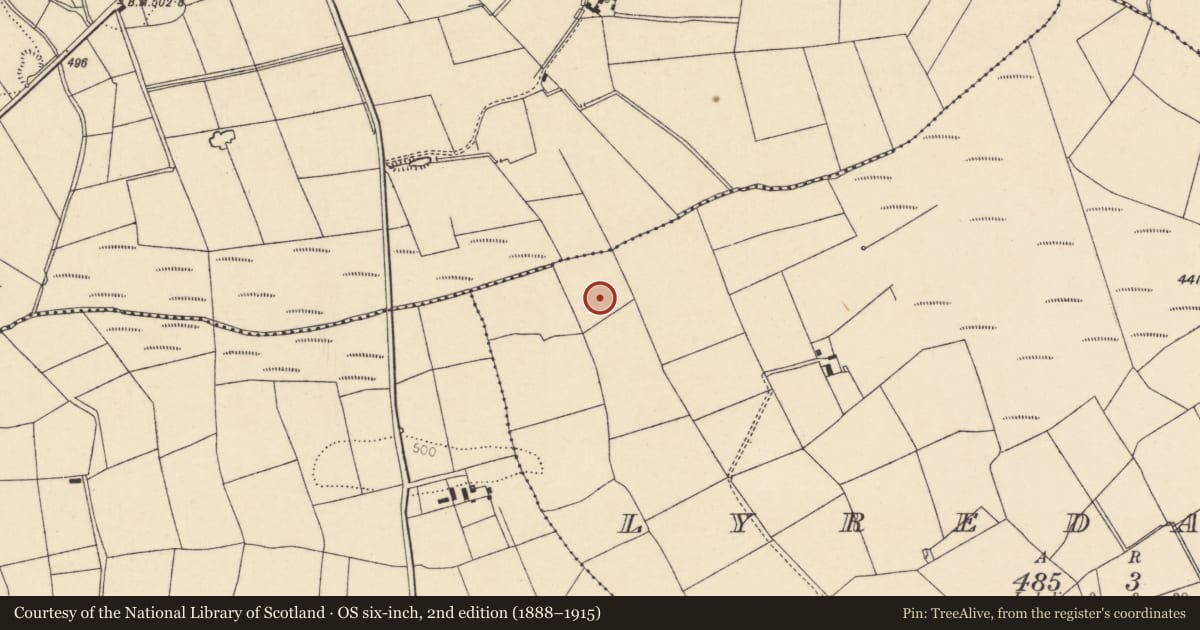 Ordnance Survey six-inch map, 2nd edition (1888–1915) covering the location of Fulacht fia, Lyredaowen, County Cork, with a pin at the register's coordinates