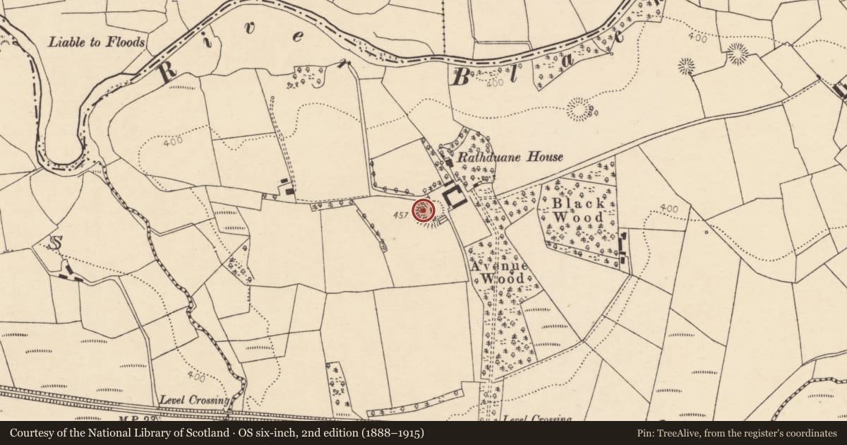 Ordnance Survey six-inch map, 2nd edition (1888–1915) covering the location of Ringfort - rath, Rathduane, County Cork, with a pin at the register's coordinates
