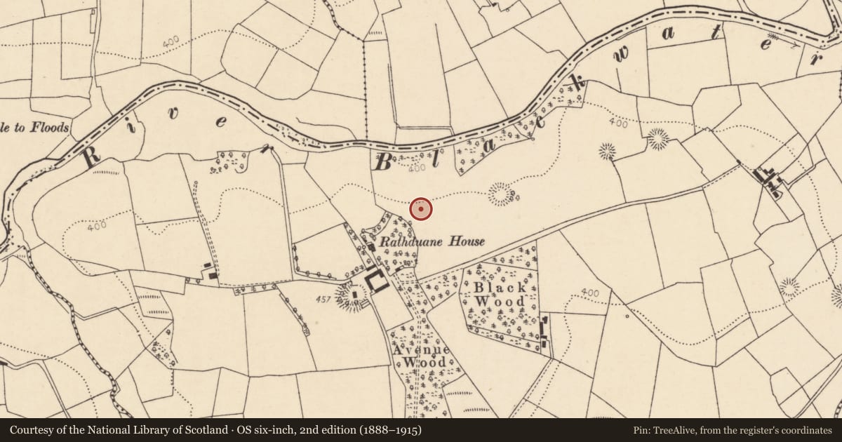 Ordnance Survey six-inch map, 2nd edition (1888–1915) covering the location of Fulacht fia, Rathduane, County Cork, with a pin at the register's coordinates