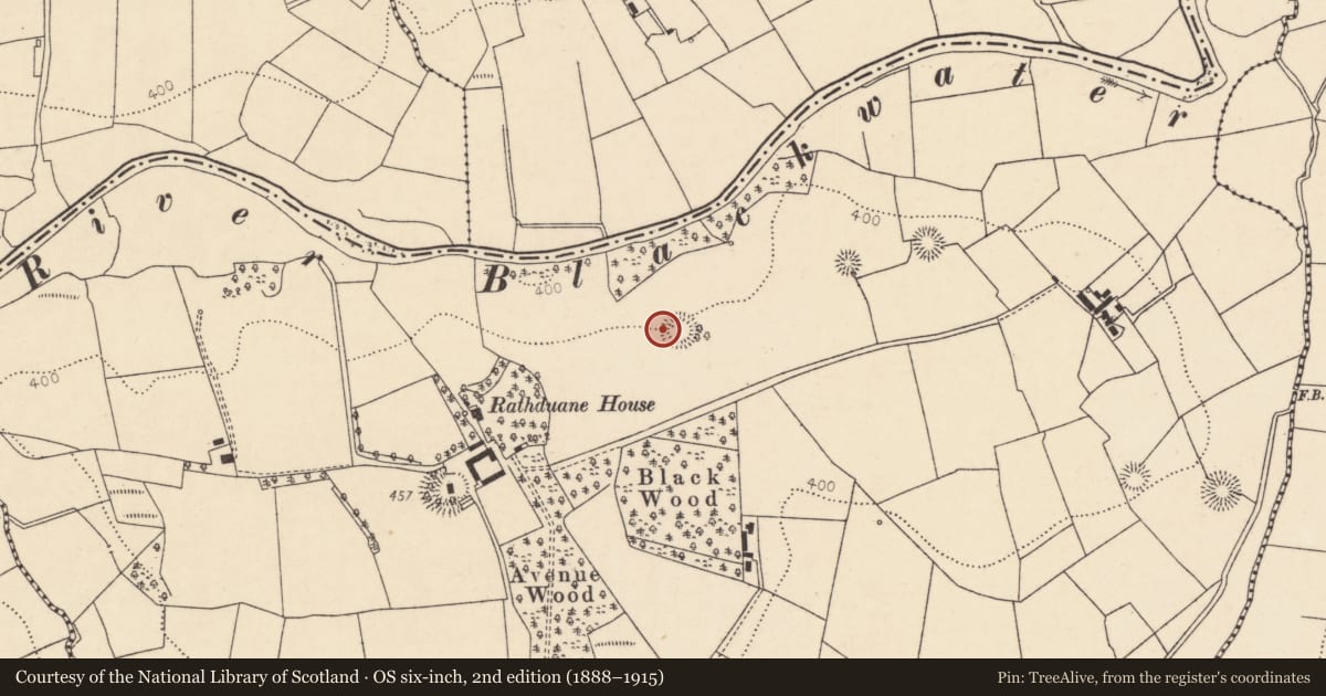 Ordnance Survey six-inch map, 2nd edition (1888–1915) covering the location of Ringfort - rath, Rathduane, County Cork, with a pin at the register's coordinates