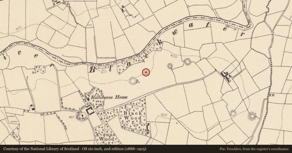 Ordnance Survey six-inch map, 2nd edition (1888–1915) covering the location of Fulacht fia, Rathduane, County Cork, with a pin at the register's coordinates