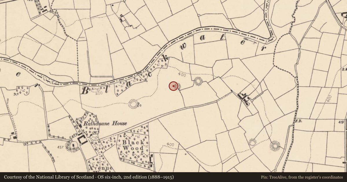 Ordnance Survey six-inch map, 2nd edition (1888–1915) covering the location of Ringfort - rath, Rathduane, County Cork, with a pin at the register's coordinates