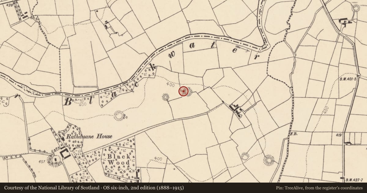 Ordnance Survey six-inch map, 2nd edition (1888–1915) covering the location of Ringfort - rath, Rathduane, County Cork, with a pin at the register's coordinates