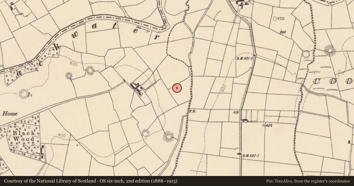 Ordnance Survey six-inch map, 2nd edition (1888–1915) covering the location of Fulacht fia, Rathduane, County Cork, with a pin at the register's coordinates