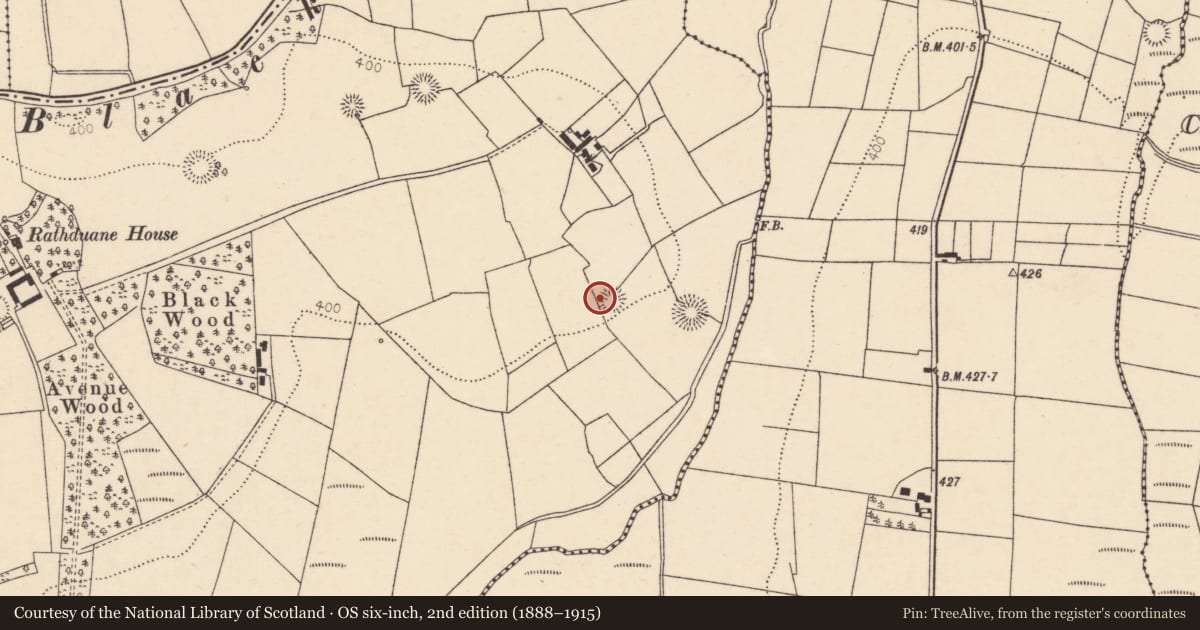 Ordnance Survey six-inch map, 2nd edition (1888–1915) covering the location of Ringfort - rath, Rathduane, County Cork, with a pin at the register's coordinates