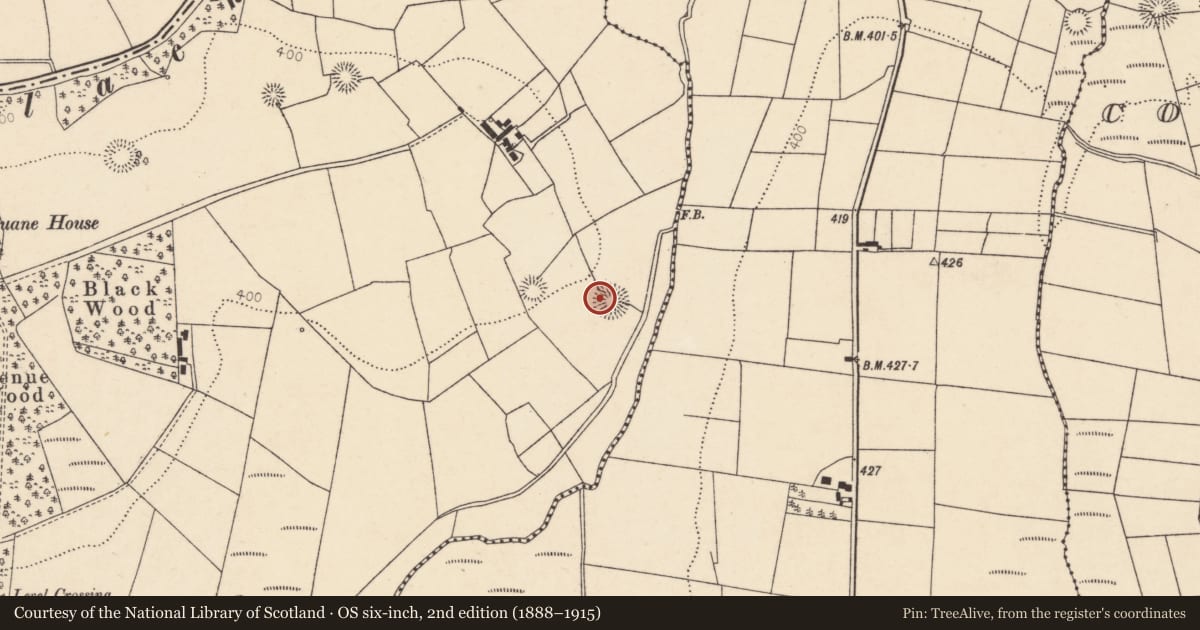 Ordnance Survey six-inch map, 2nd edition (1888–1915) covering the location of Ringfort - rath, Rathduane, County Cork, with a pin at the register's coordinates