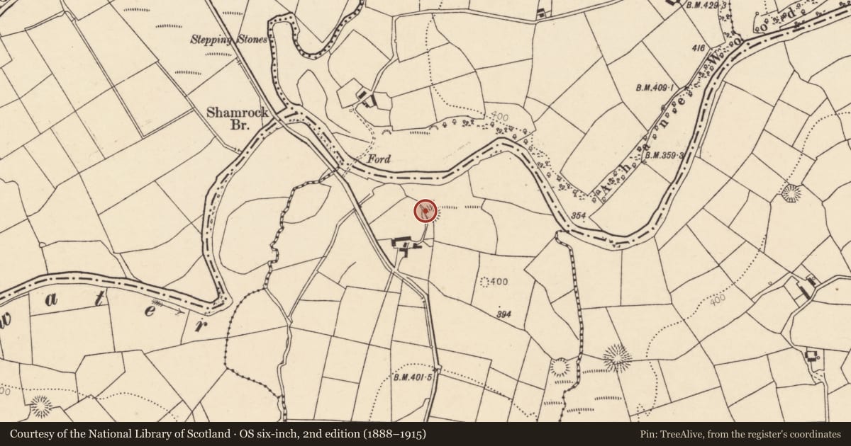 Ordnance Survey six-inch map, 2nd edition (1888–1915) covering the location of Ringfort - rath, Ballydaly, County Cork, with a pin at the register's coordinates