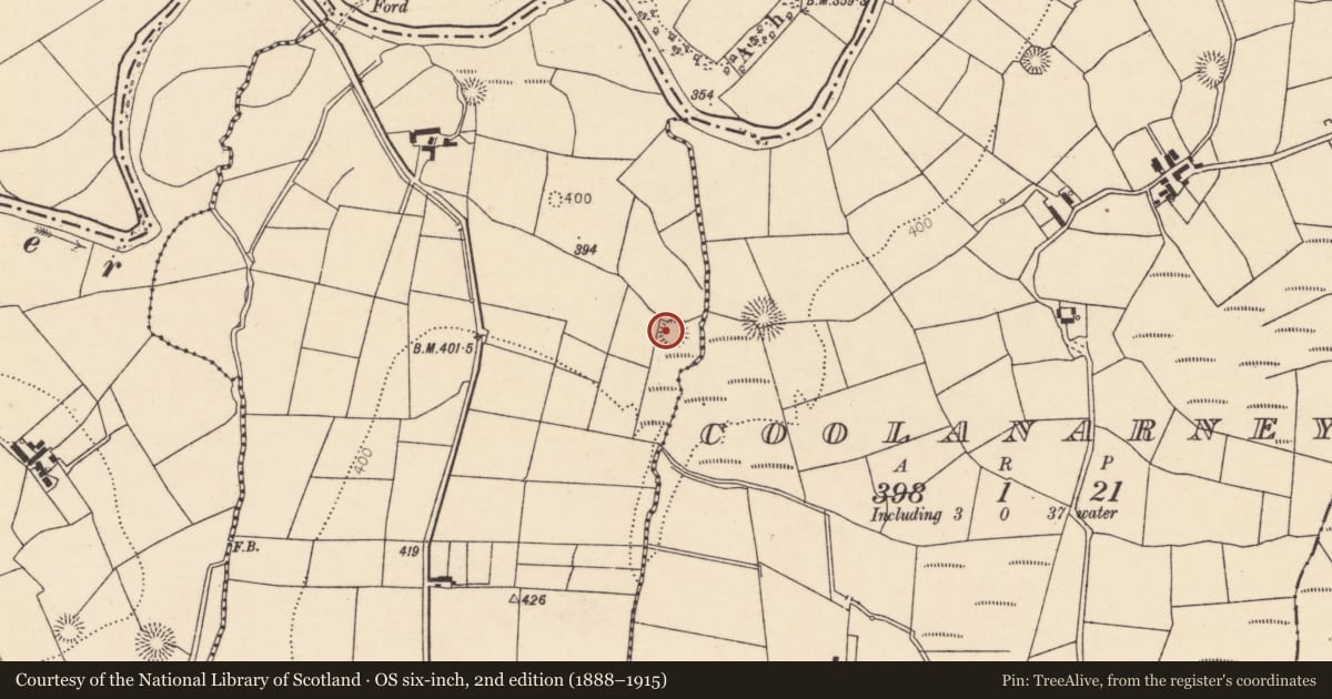 Ordnance Survey six-inch map, 2nd edition (1888–1915) covering the location of Ringfort - rath, Ballydaly, County Cork, with a pin at the register's coordinates