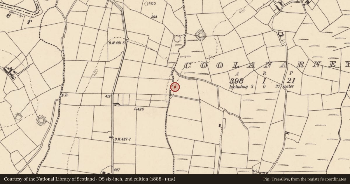 Ordnance Survey six-inch map, 2nd edition (1888–1915) covering the location of Fulacht fia, Coolanarney, County Cork, with a pin at the register's coordinates