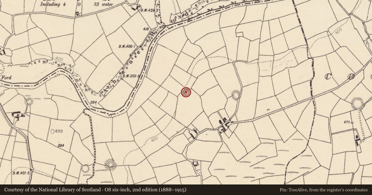 Ordnance Survey six-inch map, 2nd edition (1888–1915) covering the location of Ringfort - rath, Coolanarney, County Cork, with a pin at the register's coordinates