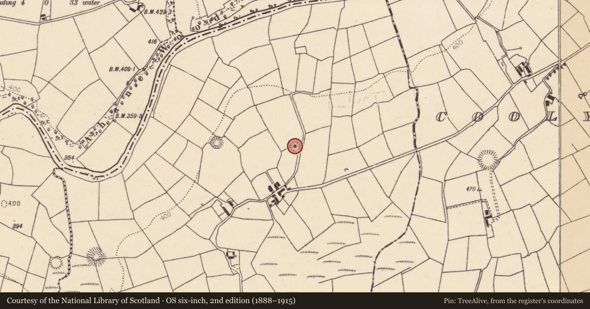 Ordnance Survey six-inch map, 2nd edition (1888–1915) covering the location of Ringfort - rath, Coolanarney, County Cork, with a pin at the register's coordinates