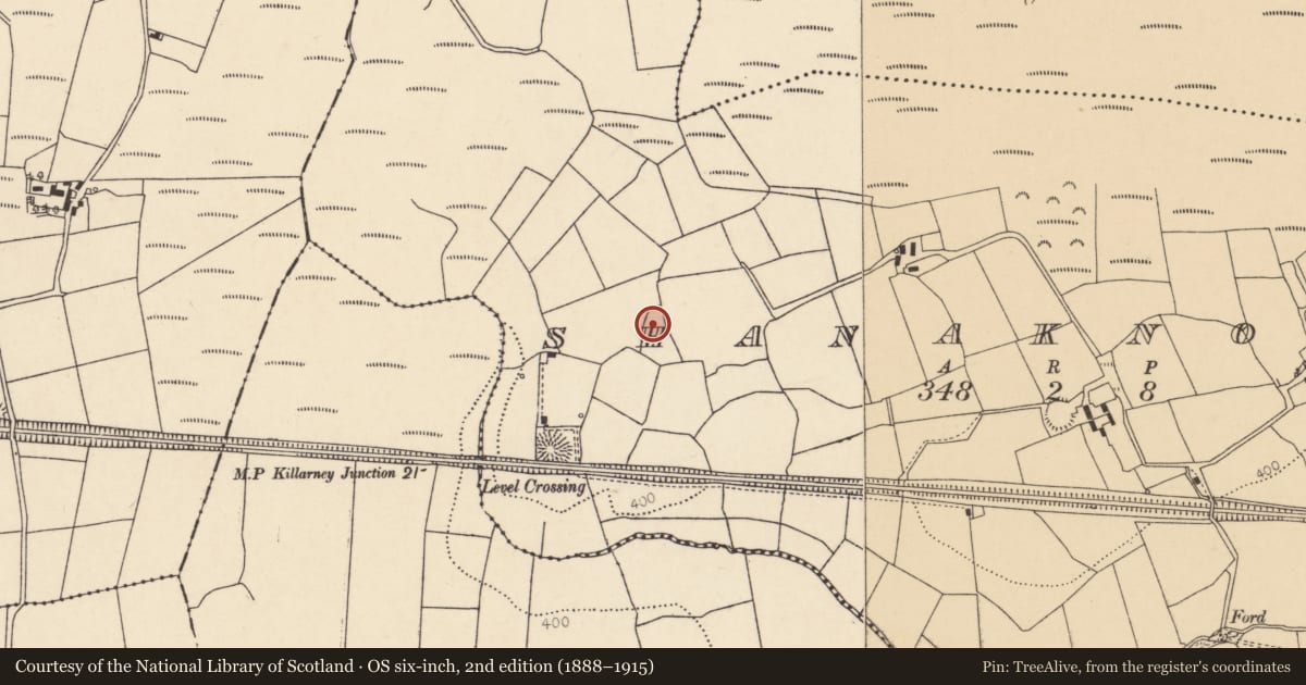 Ordnance Survey six-inch map, 2nd edition (1888–1915) covering the location of Fulacht fia, Shanaknock, County Cork, with a pin at the register's coordinates