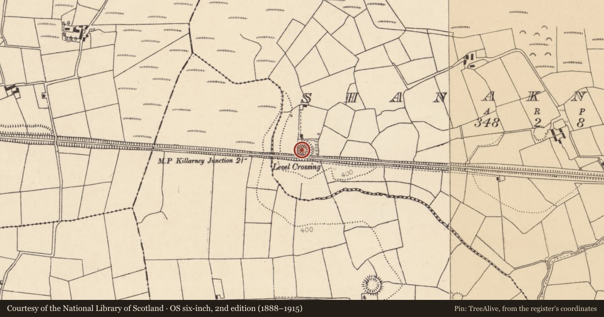 Ordnance Survey six-inch map, 2nd edition (1888–1915) covering the location of Ringfort - rath, Shanaknock, County Cork, with a pin at the register's coordinates