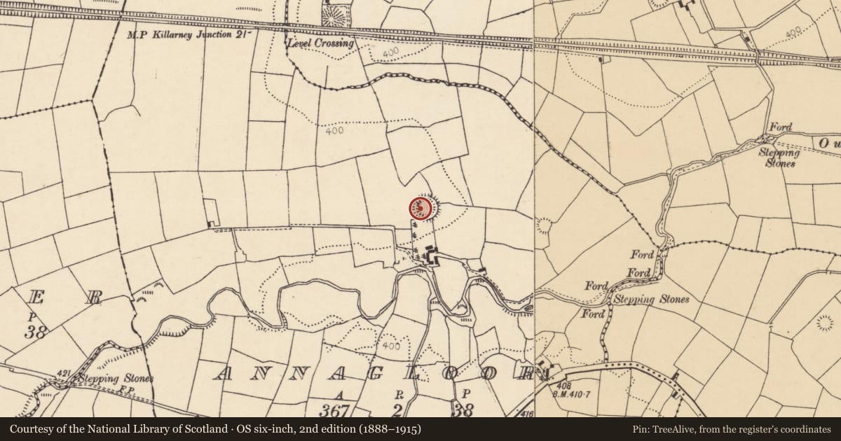 Ordnance Survey six-inch map, 2nd edition (1888–1915) covering the location of Souterrain, Annagloor, County Cork, with a pin at the register's coordinates