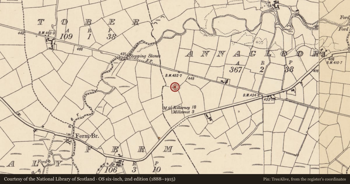 Ordnance Survey six-inch map, 2nd edition (1888–1915) covering the location of Souterrain, Annagloor, County Cork, with a pin at the register's coordinates