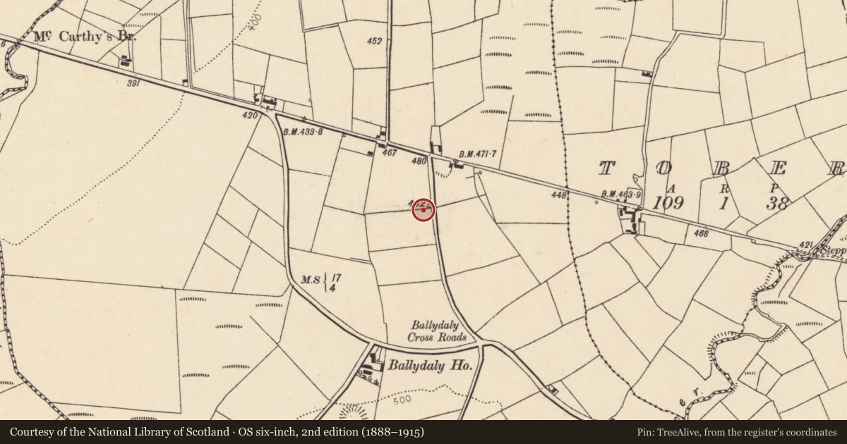 Ordnance Survey six-inch map, 2nd edition (1888–1915) covering the location of Souterrain, Ballydaly, County Cork, with a pin at the register's coordinates