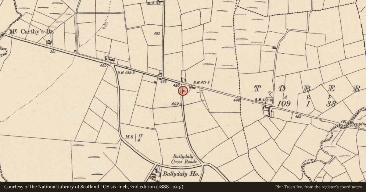 Ordnance Survey six-inch map, 2nd edition (1888–1915) covering the location of Quarry, Ballydaly, County Cork, with a pin at the register's coordinates