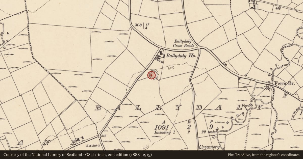 Ordnance Survey six-inch map, 2nd edition (1888–1915) covering the location of Ringfort - rath, Ballydaly, County Cork, with a pin at the register's coordinates