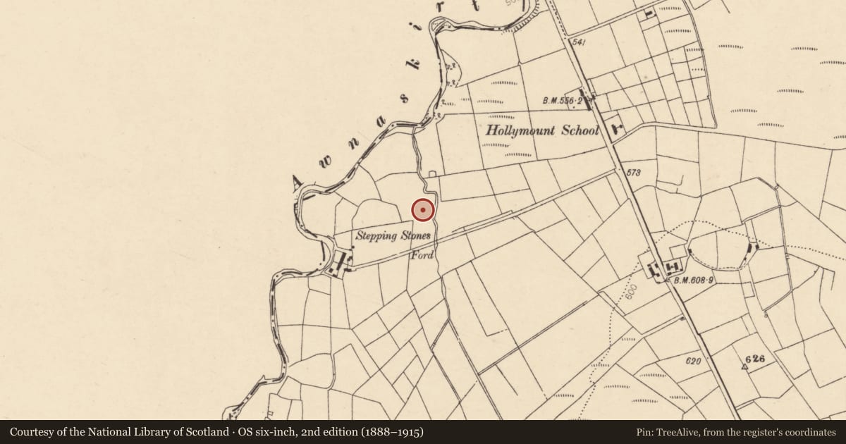 Ordnance Survey six-inch map, 2nd edition (1888–1915) covering the location of Fulacht fia, Caherbarnagh, County Cork, with a pin at the register's coordinates