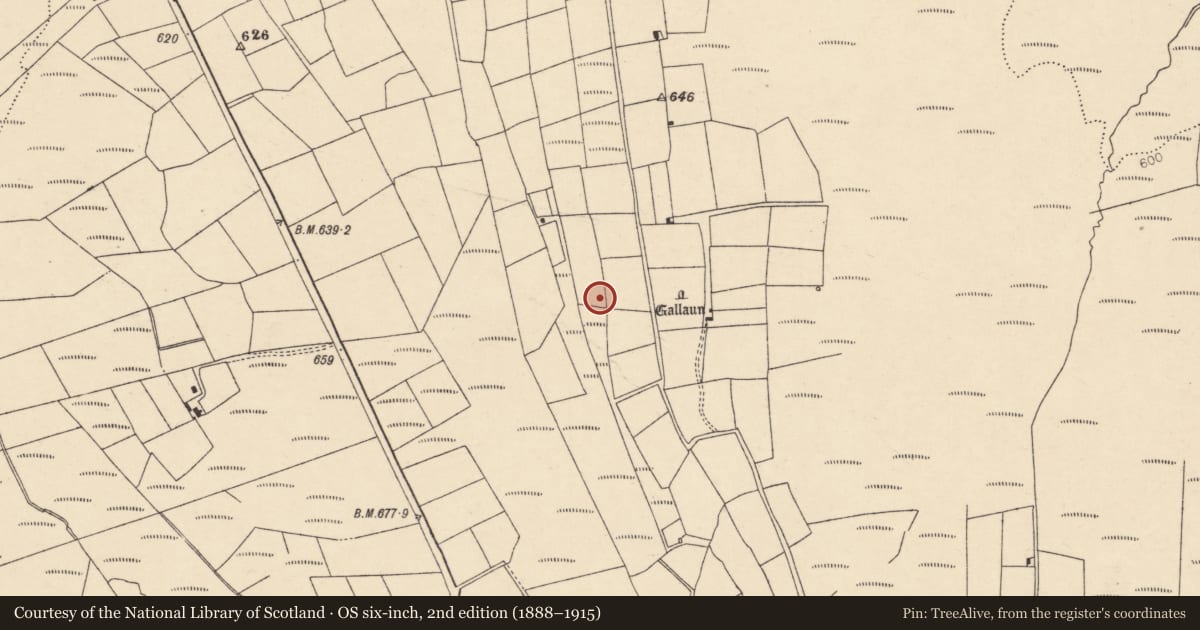 Ordnance Survey six-inch map, 2nd edition (1888–1915) covering the location of Standing stone, Caherbarnagh, County Cork, with a pin at the register's coordinates