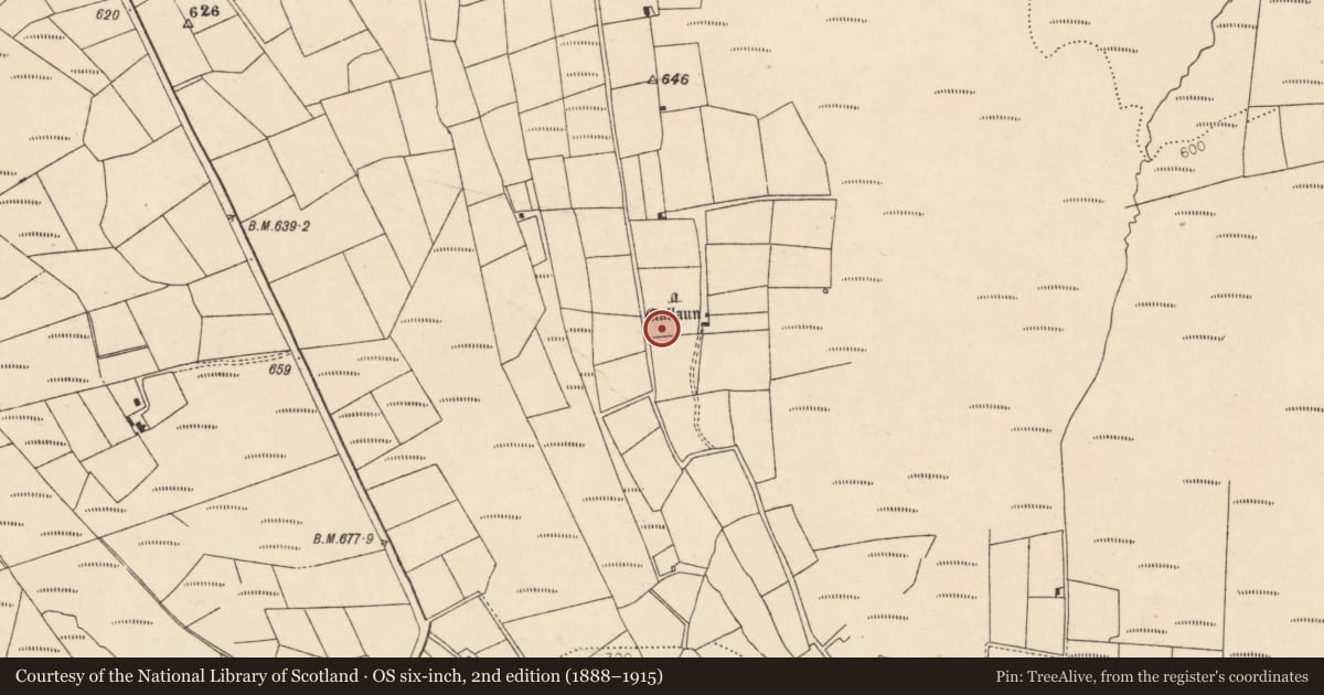 Ordnance Survey six-inch map, 2nd edition (1888–1915) covering the location of Fulacht fia, Caherbarnagh, County Cork, with a pin at the register's coordinates