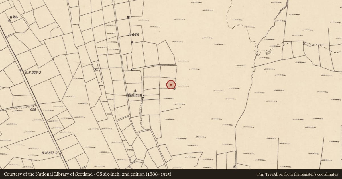 Ordnance Survey six-inch map, 2nd edition (1888–1915) covering the location of Fulacht fia, Caherbarnagh, County Cork, with a pin at the register's coordinates