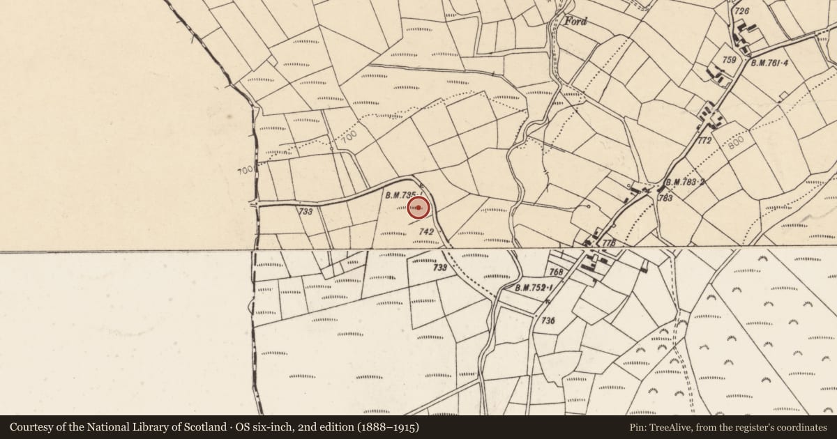 Ordnance Survey six-inch map, 2nd edition (1888–1915) covering the location of Standing stone, Caherbarnagh, County Cork, with a pin at the register's coordinates