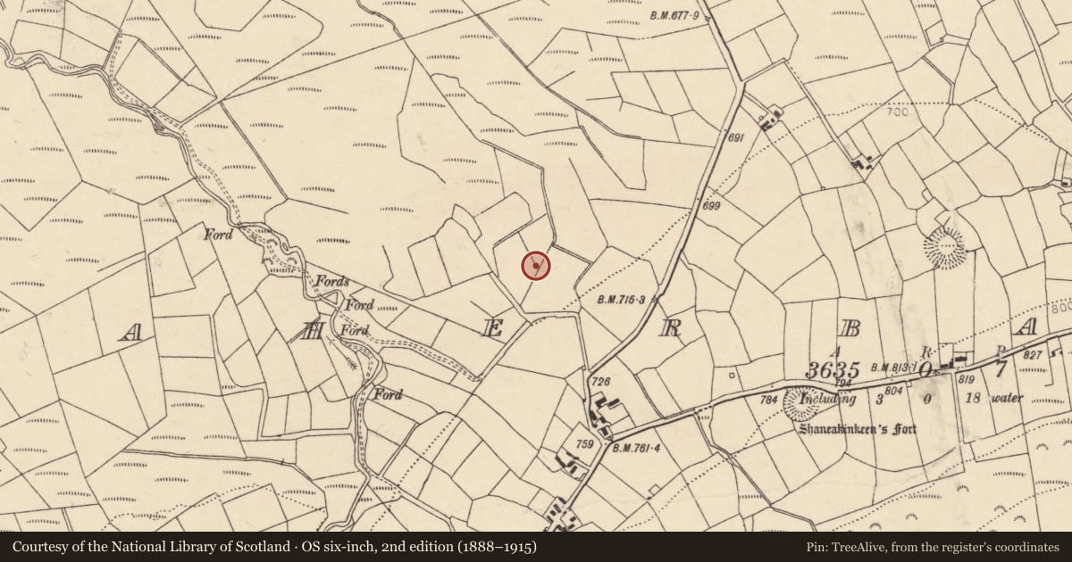 Ordnance Survey six-inch map, 2nd edition (1888–1915) covering the location of Fulacht fia, Caherbarnagh, County Cork, with a pin at the register's coordinates
