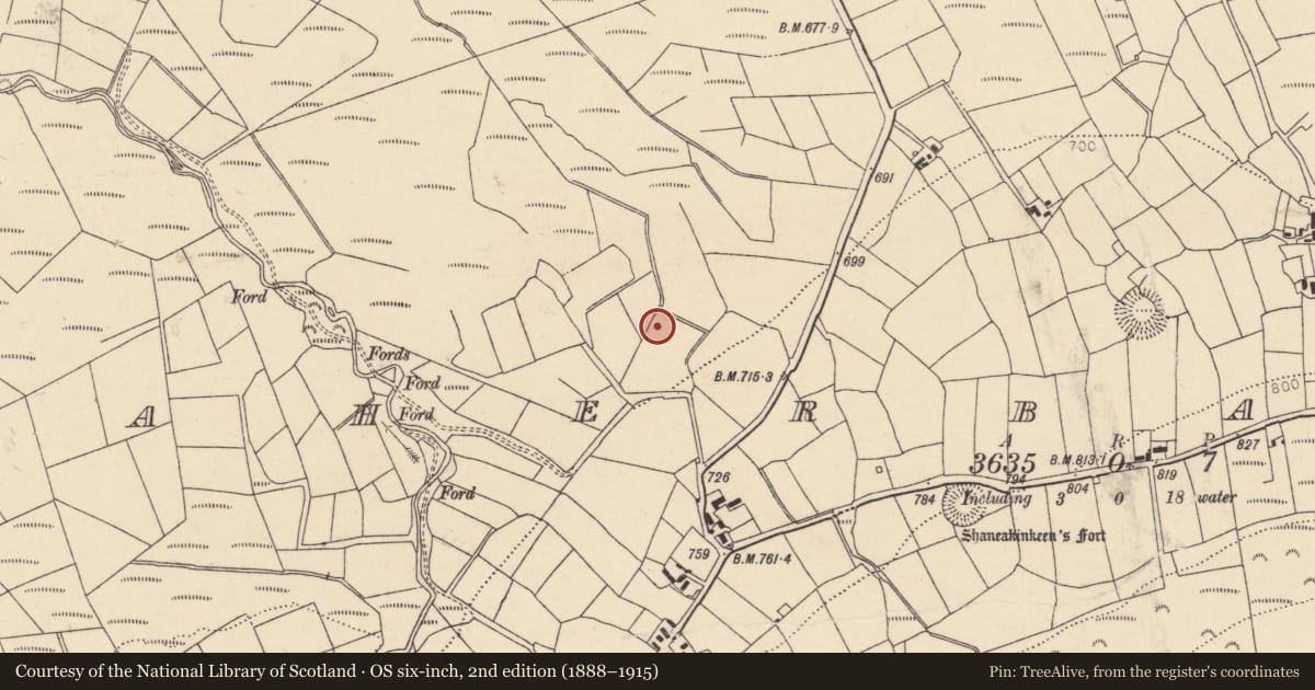 Ordnance Survey six-inch map, 2nd edition (1888–1915) covering the location of Fulacht fia, Caherbarnagh, County Cork, with a pin at the register's coordinates