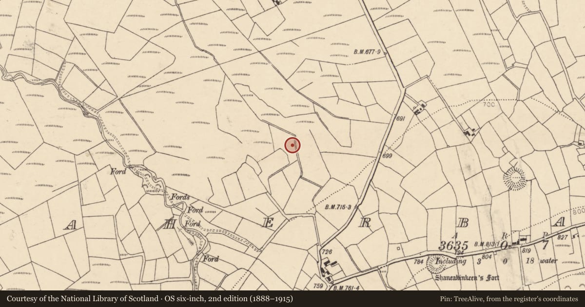 Ordnance Survey six-inch map, 2nd edition (1888–1915) covering the location of Fulacht fia, Caherbarnagh, County Cork, with a pin at the register's coordinates