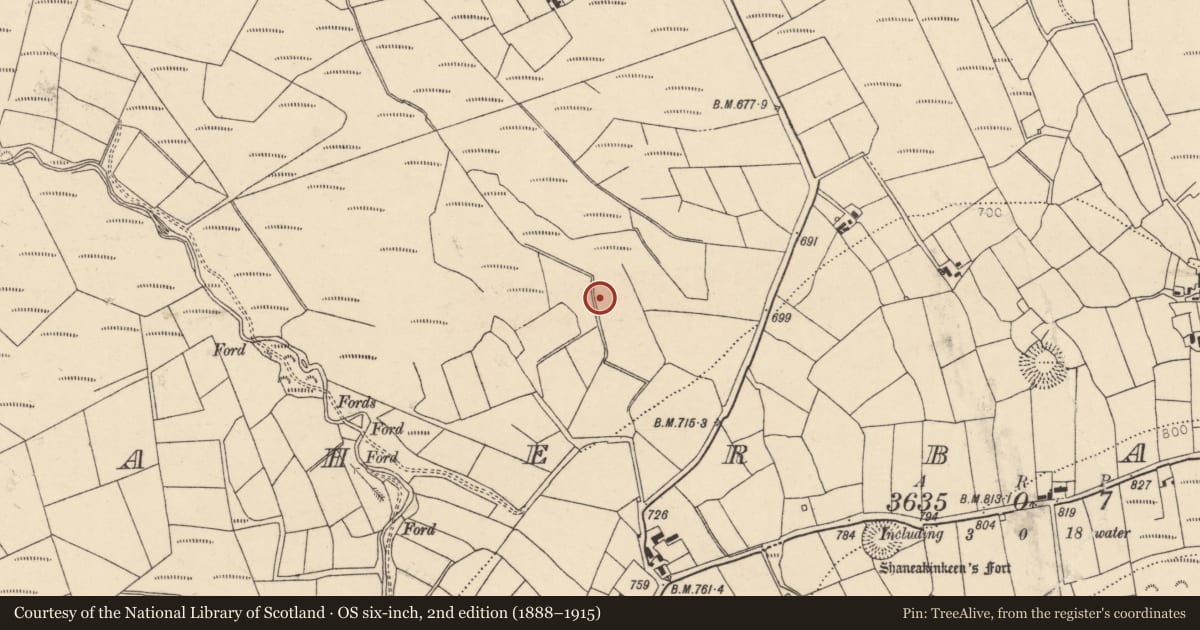Ordnance Survey six-inch map, 2nd edition (1888–1915) covering the location of Fulacht fia, Caherbarnagh, County Cork, with a pin at the register's coordinates