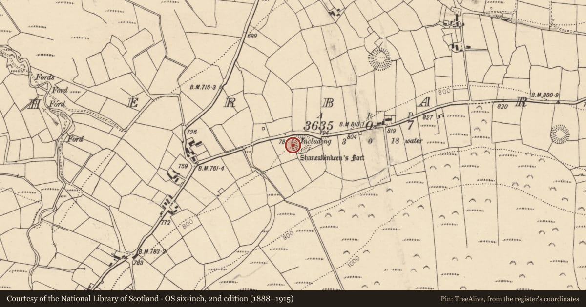 Ordnance Survey six-inch map, 2nd edition (1888–1915) covering the location of Ringfort - rath, Caherbarnagh, County Cork, with a pin at the register's coordinates