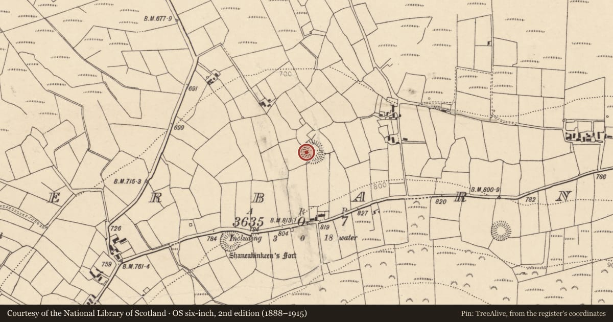 Ordnance Survey six-inch map, 2nd edition (1888–1915) covering the location of Souterrain, Caherbarnagh, County Cork, with a pin at the register's coordinates