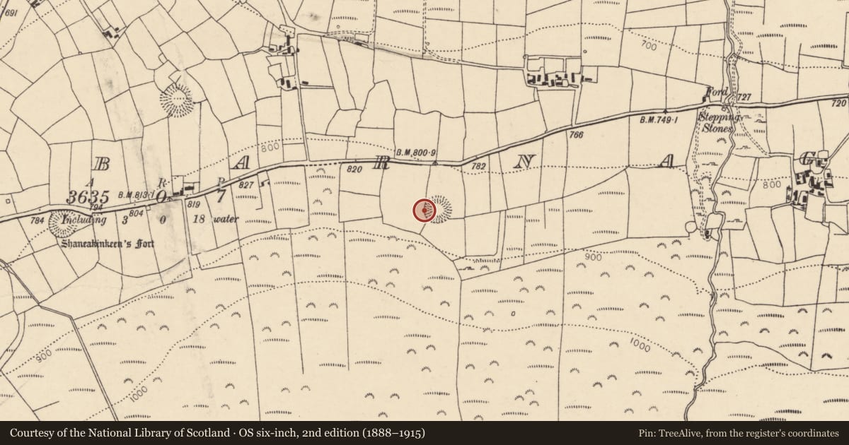 Ordnance Survey six-inch map, 2nd edition (1888–1915) covering the location of Ringfort - rath, Caherbarnagh, County Cork, with a pin at the register's coordinates