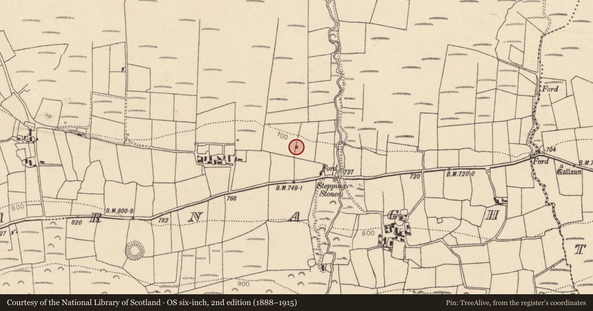 Ordnance Survey six-inch map, 2nd edition (1888–1915) covering the location of Fulacht fia, Caherbarnagh, County Cork, with a pin at the register's coordinates