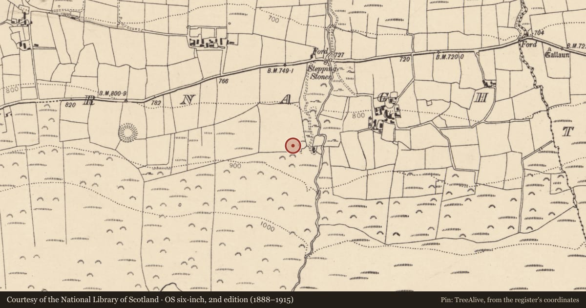 Ordnance Survey six-inch map, 2nd edition (1888–1915) covering the location of Ringfort - cashel, Caherbarnagh, County Cork, with a pin at the register's coordinates