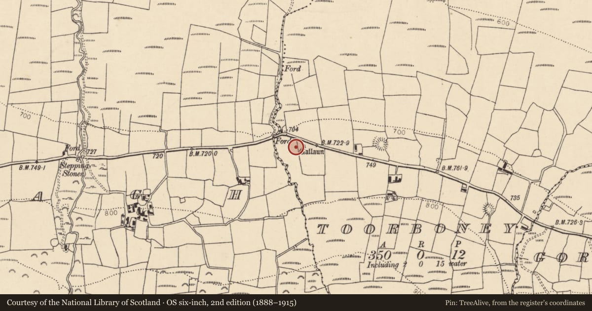 Ordnance Survey six-inch map, 2nd edition (1888–1915) covering the location of Standing stone, Toorboney, County Cork, with a pin at the register's coordinates