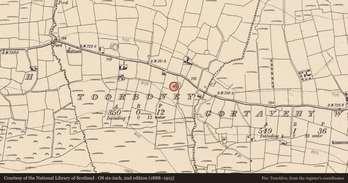 Ordnance Survey six-inch map, 2nd edition (1888–1915) covering the location of Ringfort - cashel, Toorboney, County Cork, with a pin at the register's coordinates