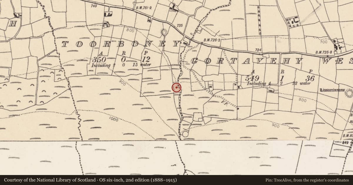 Ordnance Survey six-inch map, 2nd edition (1888–1915) covering the location of Fulacht fia, Gortavehy West, County Cork, with a pin at the register's coordinates