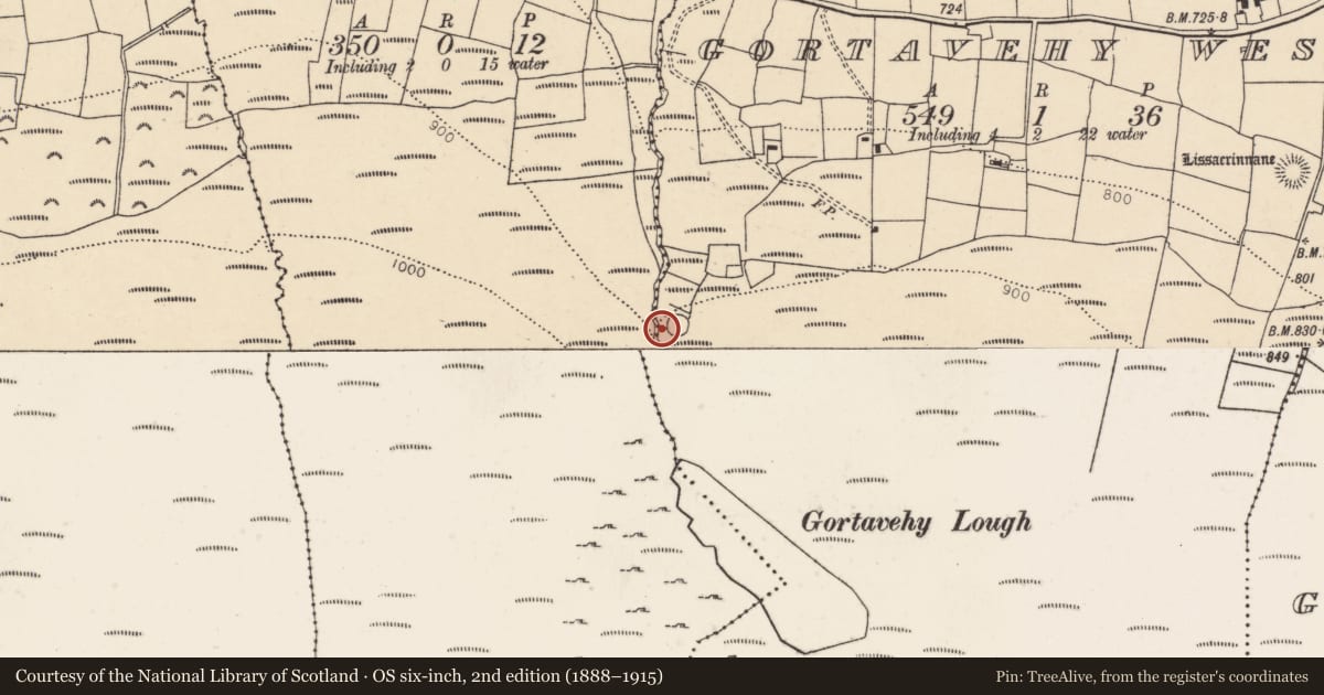 Ordnance Survey six-inch map, 2nd edition (1888–1915) covering the location of Ringfort - cashel, Gortavehy West, County Cork, with a pin at the register's coordinates